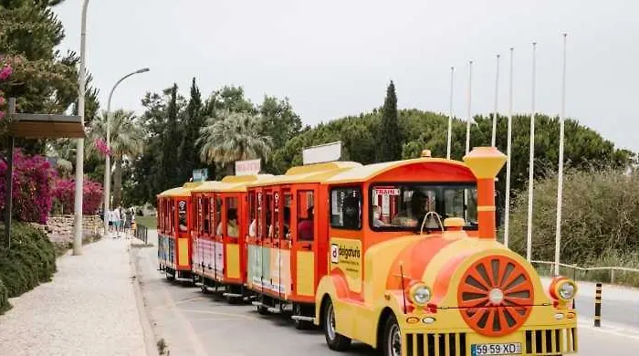 Old Town Center - Verasol 1 דירה